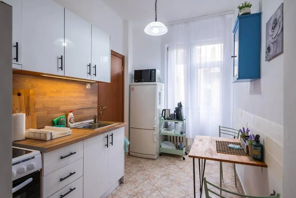 Spacious 3Bd Central Apartment Sofia